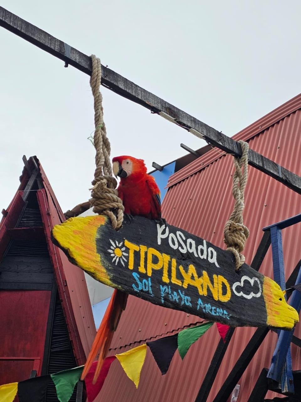 Tipiland Baru La Casa Del Mono Hotel Playa Blanca Eksteriør billede
